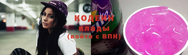 apvp Каменногорск