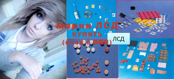 apvp Каменногорск